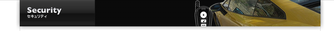 Security:セキュリティ